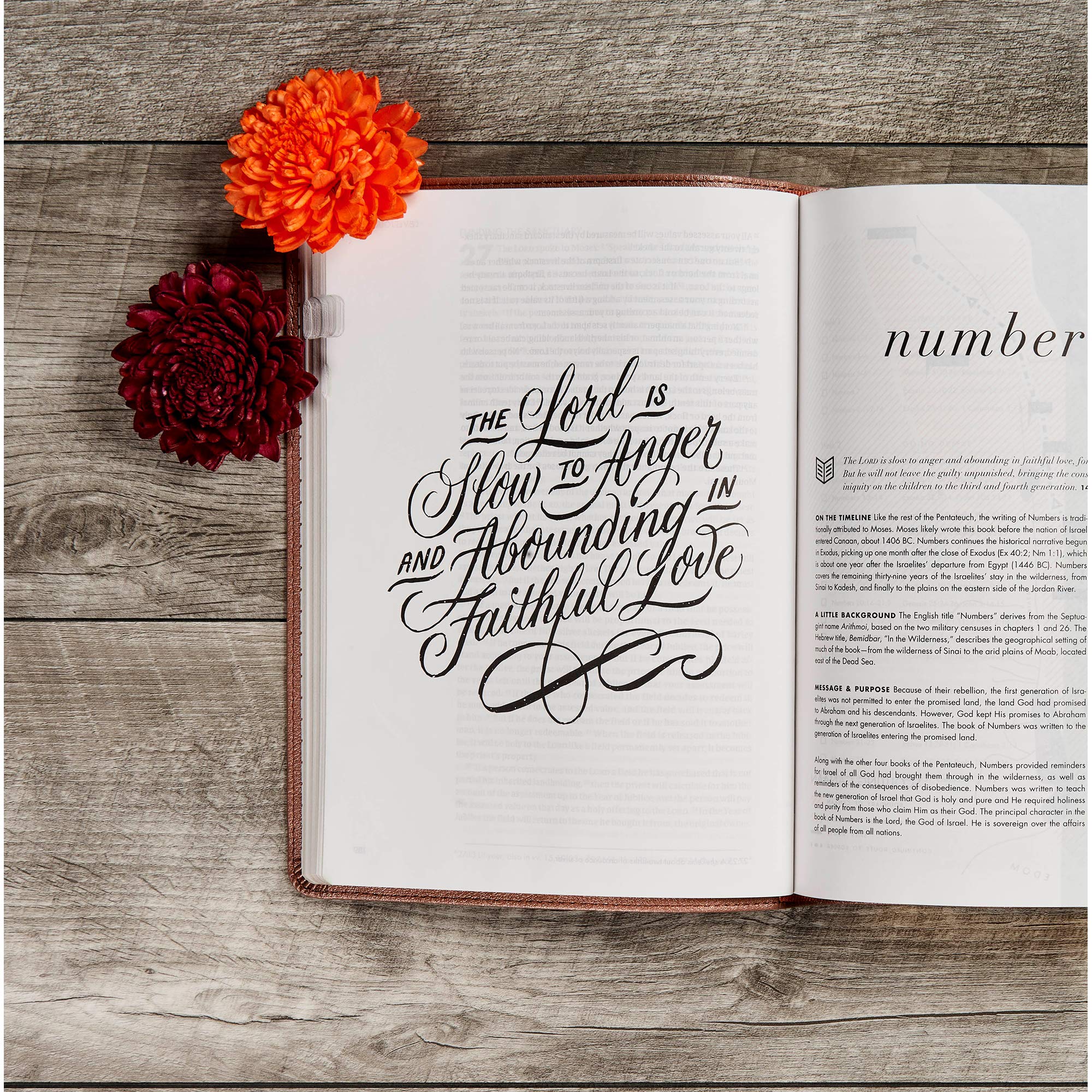 CSB She Reads Truth Bible, Rose Gold LeatherTouch, Indexed, Black Letter, Full-Color Design, Wide Margins, Journaling Space, Devotionals, Reading Plans, Single-Column, Easy-to-Read Bible Serif Type CSB She Reads Truth Bible, Rose Gold LeatherTouch, Indexed, Black Letter, Full-Color Design, Wide Margins, Journaling Space, Devotionals, Reading Plans, Single-Column, Easy-to-Read Bible Serif Type Imit