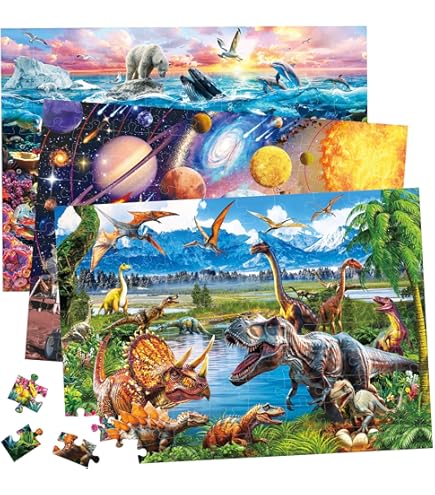 Amazon.com: BenBen Puzzles for Kids Ages 4-6, 3 Pack 100 Pieces