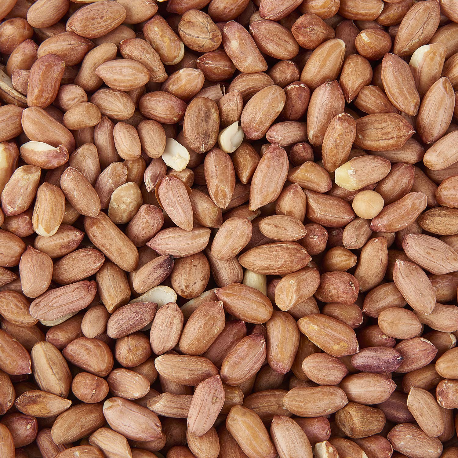 Garden Ting Premium Wild Bird Peanuts, 5kg