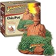 Chia Pet Indiana Jones with Seed Pack, Decorative Pottery Planter, Easy to Do and Fun to Grow, Novelty Gift, Perfect for Any Occasion