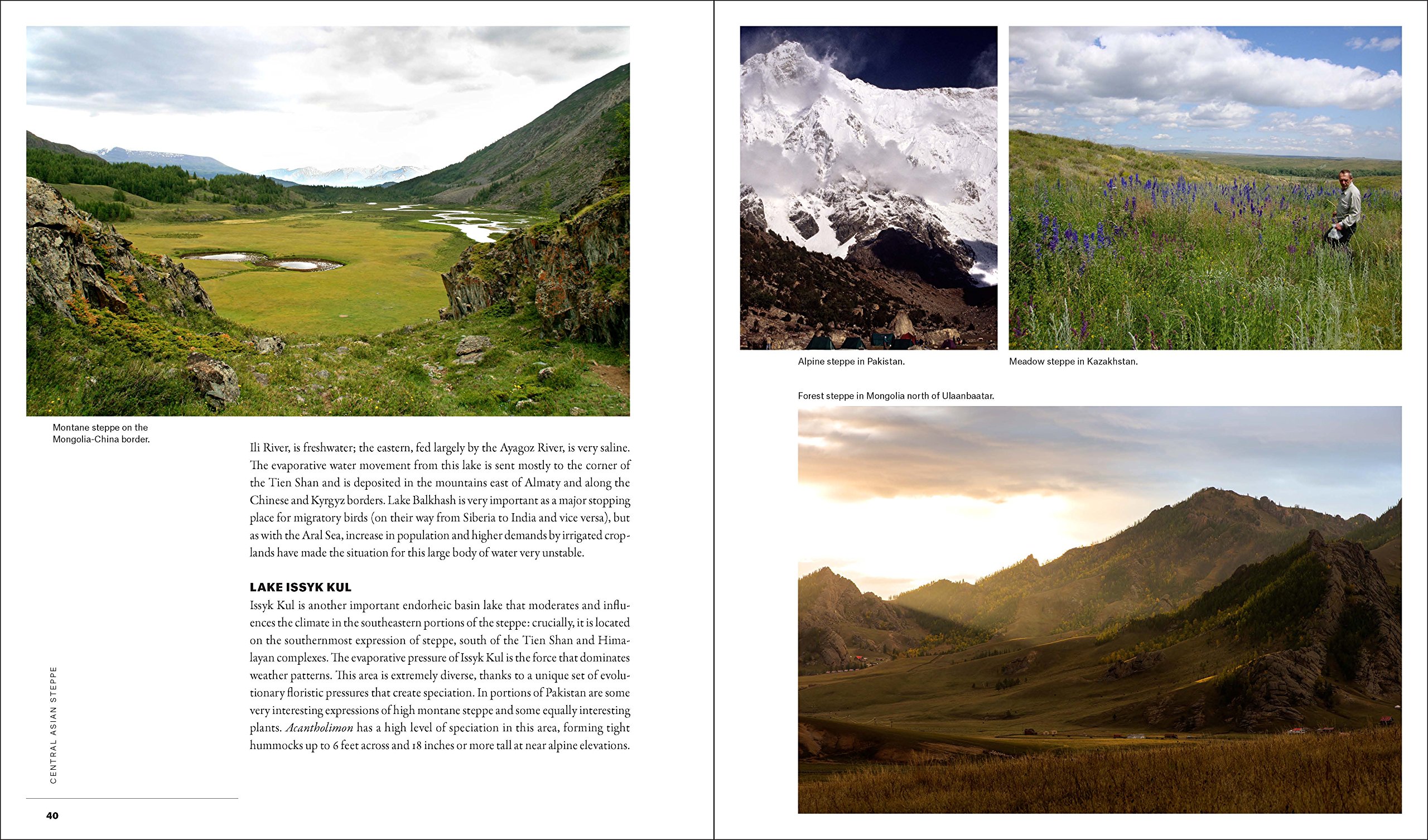 Ecological problems in the world
