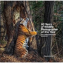 60 Years of Wildlife Photographer of the Year: How Wildlife