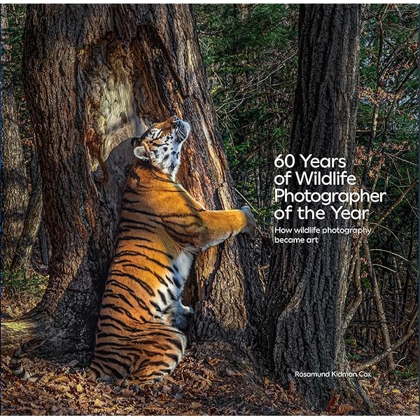 写真集 Wildlife Photographer of the Year 6冊 15 enchanting images from the Wildlife Photographer of the Year