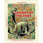 Caught by the Tides (Criterion Premieres) [Blu-ray]