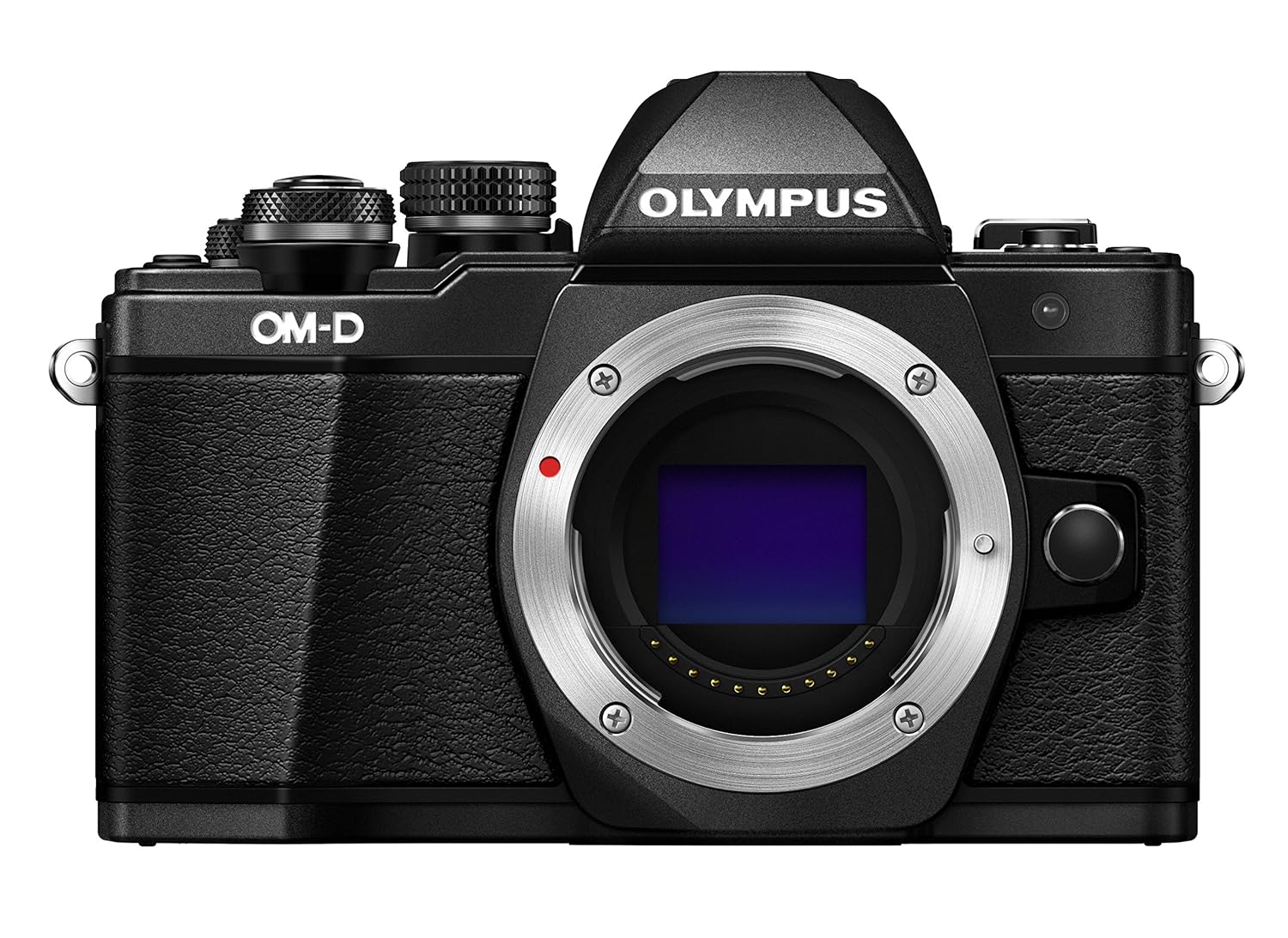 What is the Best Camera Brand Today? 15 Top Digital Cameras Brands