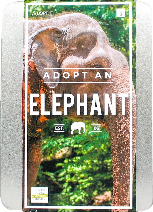 Gift Republic - Caja de Regalo, diseño de Elefante: Amazon.es: Jardín