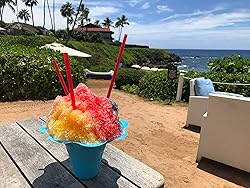 Hypothermias Shaved Ice & Snow Cone Syrup - Quart