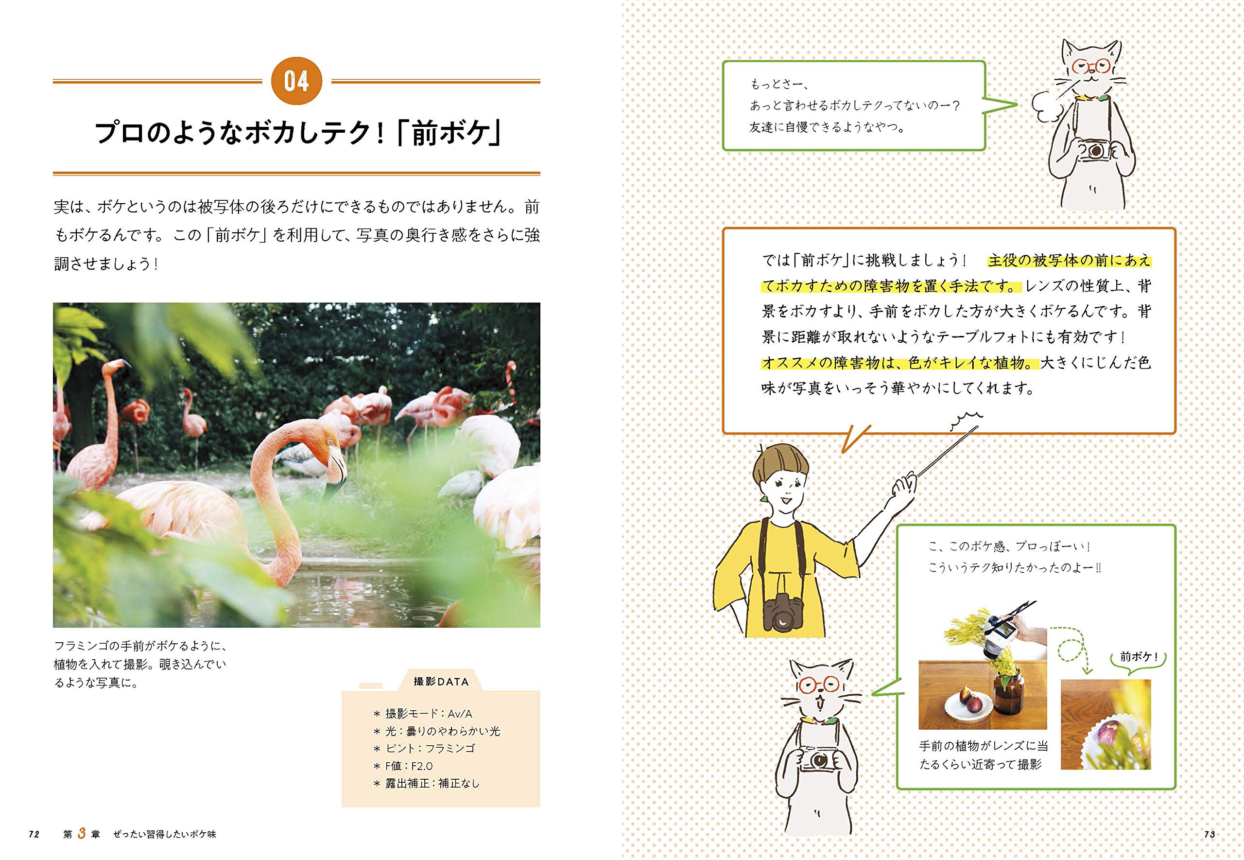 Camera 1 Grade Digital Slr Camera Series Update Camera Back To School School Books Amazon Com Books