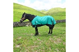 Waterproof and Windproof Horse Sheet|Horse Blankets for Real Horses|Adjustable with Tail Rainy Day Choices for Horses(76Inch/