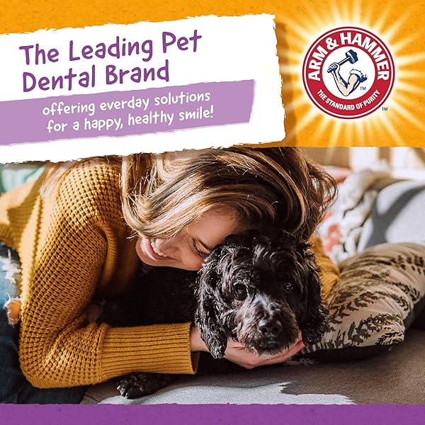 ARM & HAMMER FOR PETS NUBBIES DENTAL TREATS – BAKING SODA & CALCIUM DOG DENTAL CHEWS, NUBBED TEXTURE HELPS SCRUB PLAQUE & TARTAR WHILE CHEWING, CHICKEN FLAVOR, 20 COUNT, 7 OUNCE