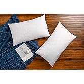 JA COMFORTS 12×20 Premium Goose Down Feather Throw Pillow Inserts(Set of 2)-5% Down Filling,High Filling Weight,250 TC Cotton Cover, Square, White
