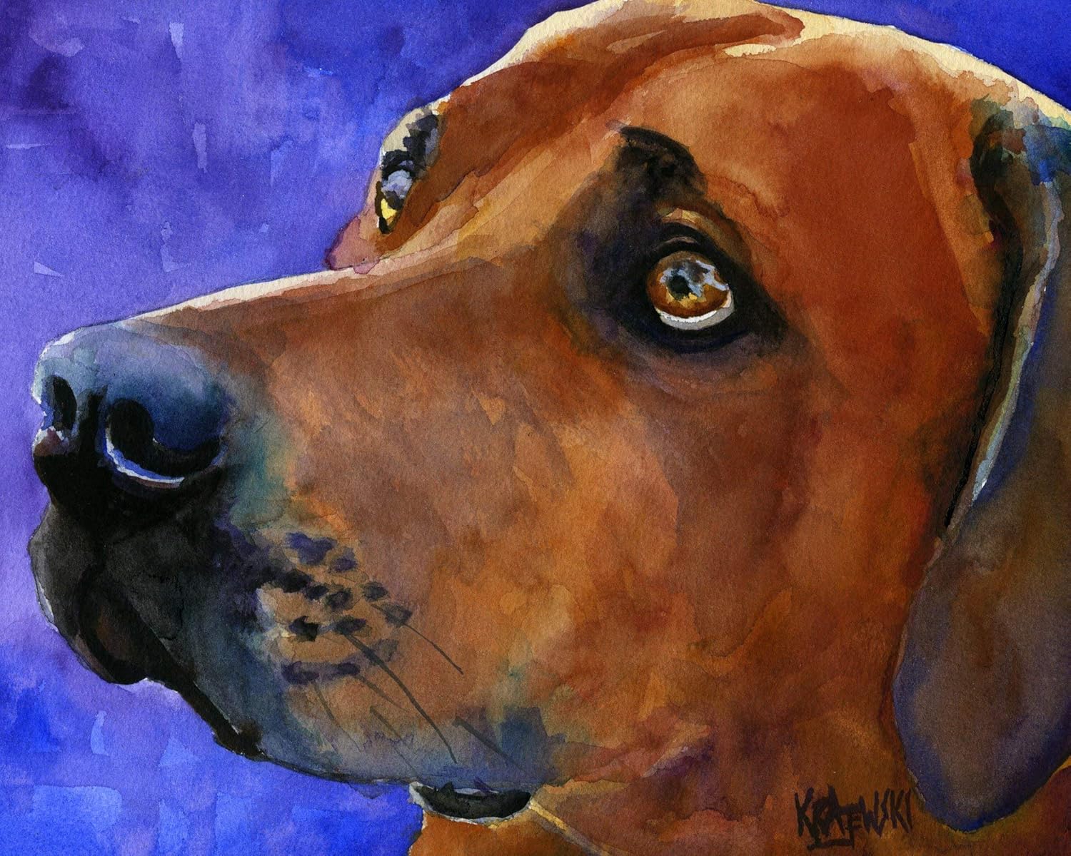 rhodesian ridgeback art