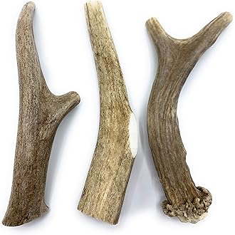natural dog bones