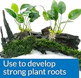 API Root Tabs Freshwater Plant Fertilizer 10 Tablets Box 13 g Each view 2