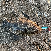 カスタマー画像