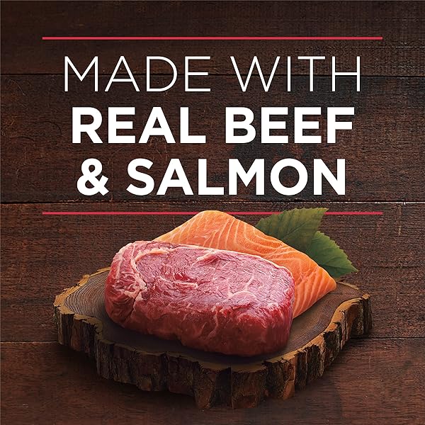 PURINA ONE HIGH PROTEIN WET DOG FOOD TRUE INSTINCT TENDER CUTS IN DOG FOOD GRAVY WITH REAL BEEF AND WILD-CAUGHT SALMON – (PACK OF 12) 13 OZ. CANS