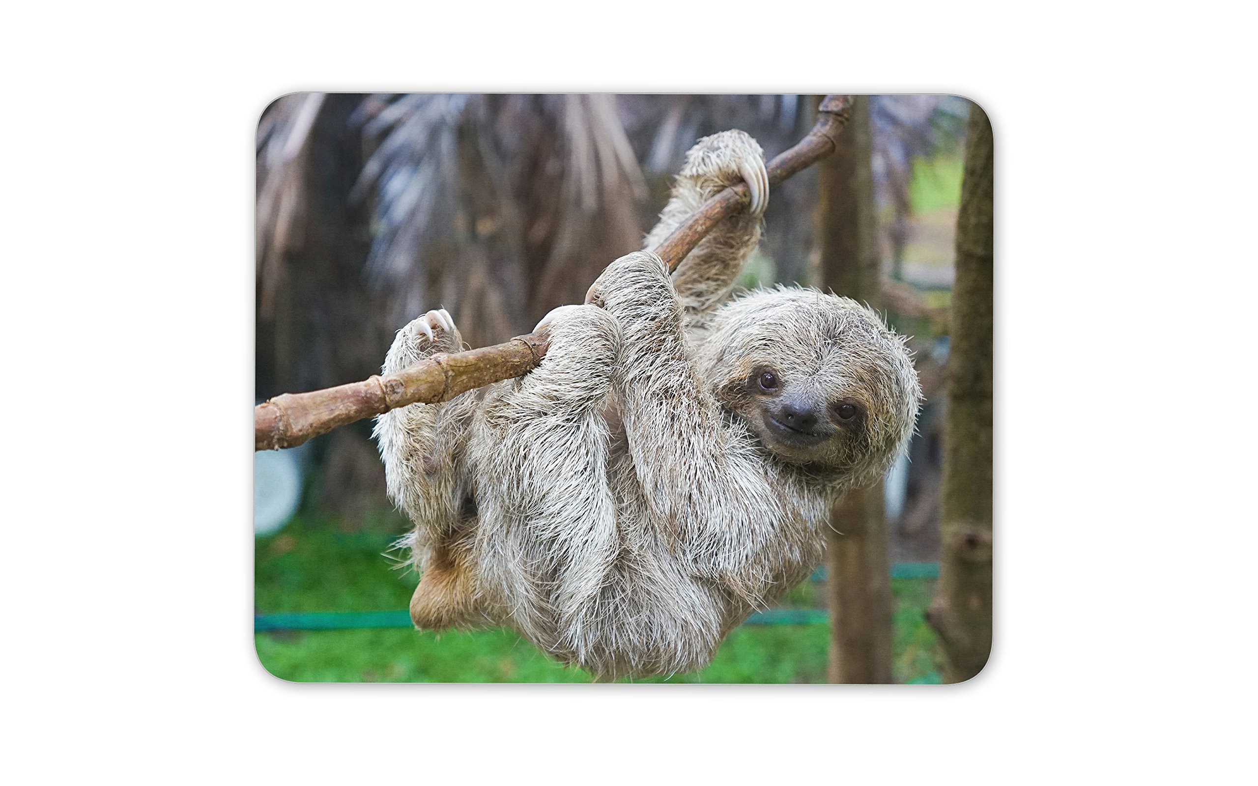 Destination Vinyl Ltd Cute Sloth Mouse Mat Pad - Lazy Dad Brother Uncle Son Funny Gift Computer #13048