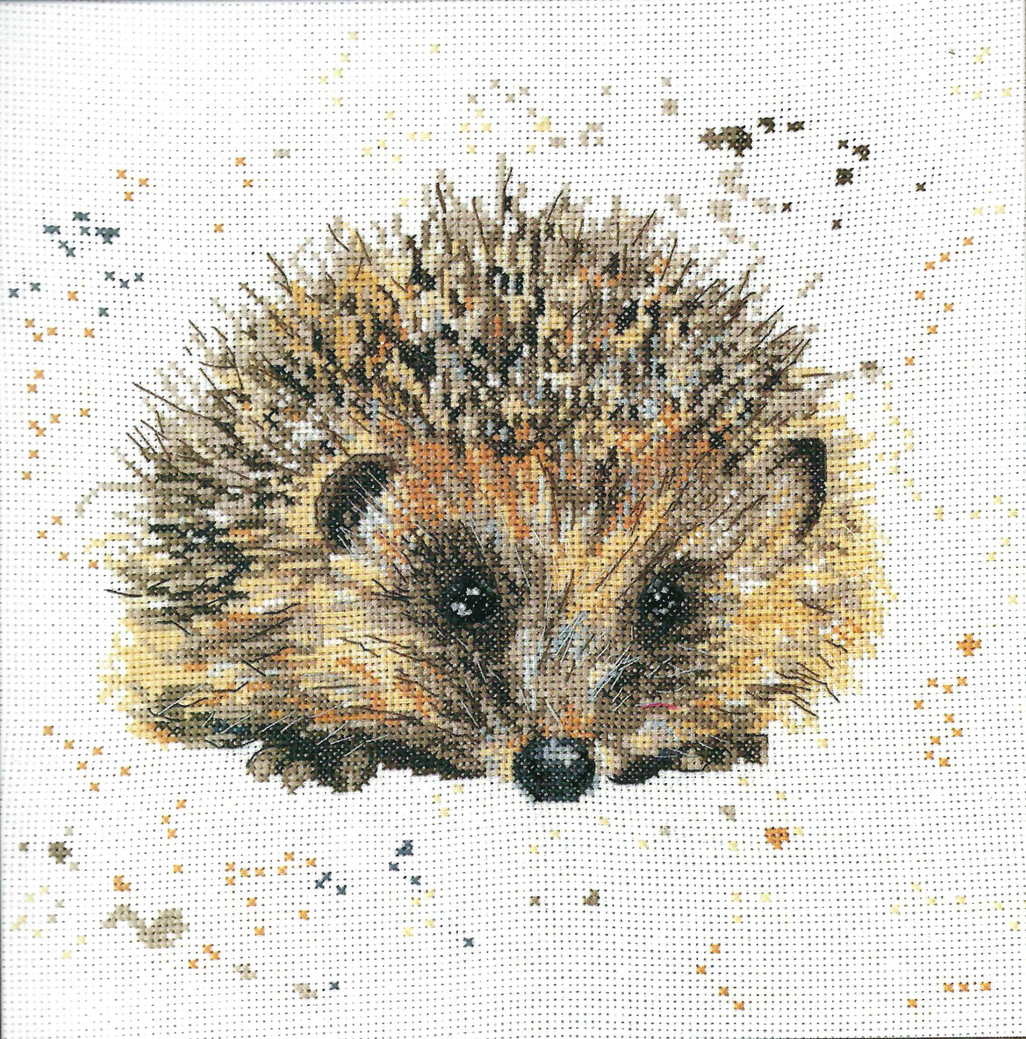 My Cross Stitch Bree Merryn - Counted Cross Stitch Kit - Harley The Hedgehog, 10x10 inches