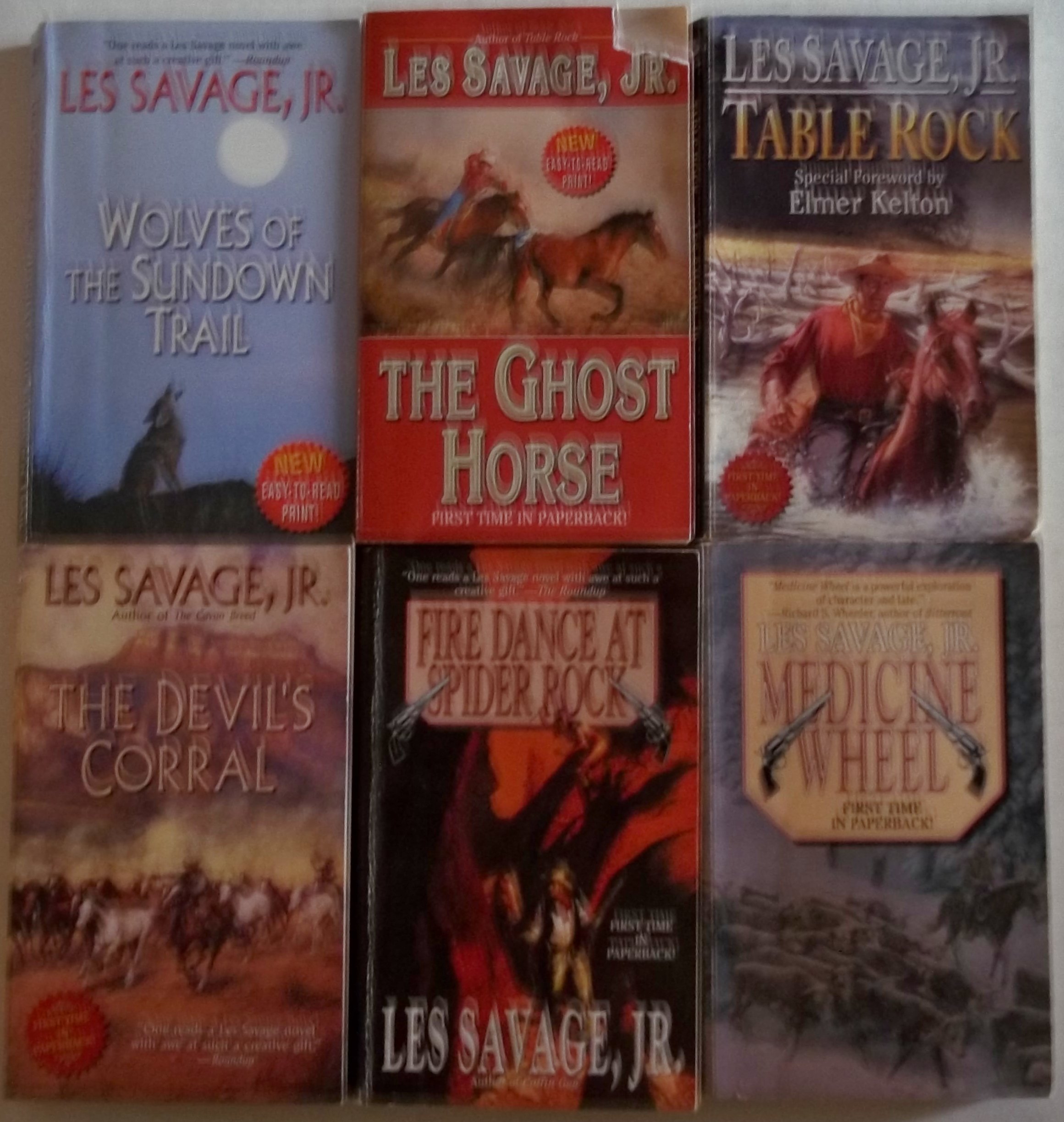 Lee Savage Jr 6 Book Set Medicine Wheel Fire Dance At Spider Rock The Devil S Corral Table Rock The Ghost Horse Wolves Of The Sundown Trail Lee Savage Jr Amazon Com Books