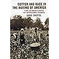 Cotton and Race in the Making of America: The Human Costs of Economic Power