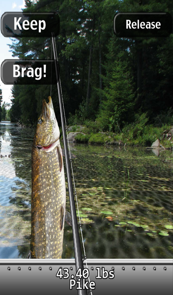 iFishing