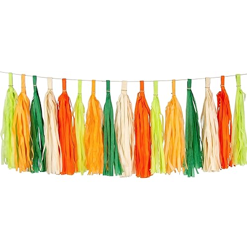 Amazon Com 15 Viva La Fiesta Tassel Garland Banner Handmade