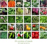 Scott&Co Vegetable Seeds Variety Pack 30 Varieties Indoor Outdoor Growing view 4
