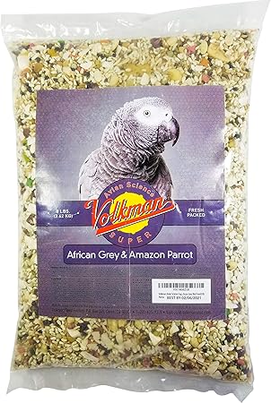 african grey parrot food