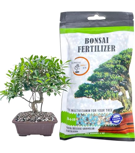 Amazon.com : Japanese Biogold Original Natural Organic Fertilizer Bonsai &  Plant Food - 900 g : Patio, Lawn & Garden
