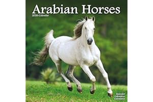 Arabian Horses Calendar 2026 Square Horses Wall Calendar - 16 Month