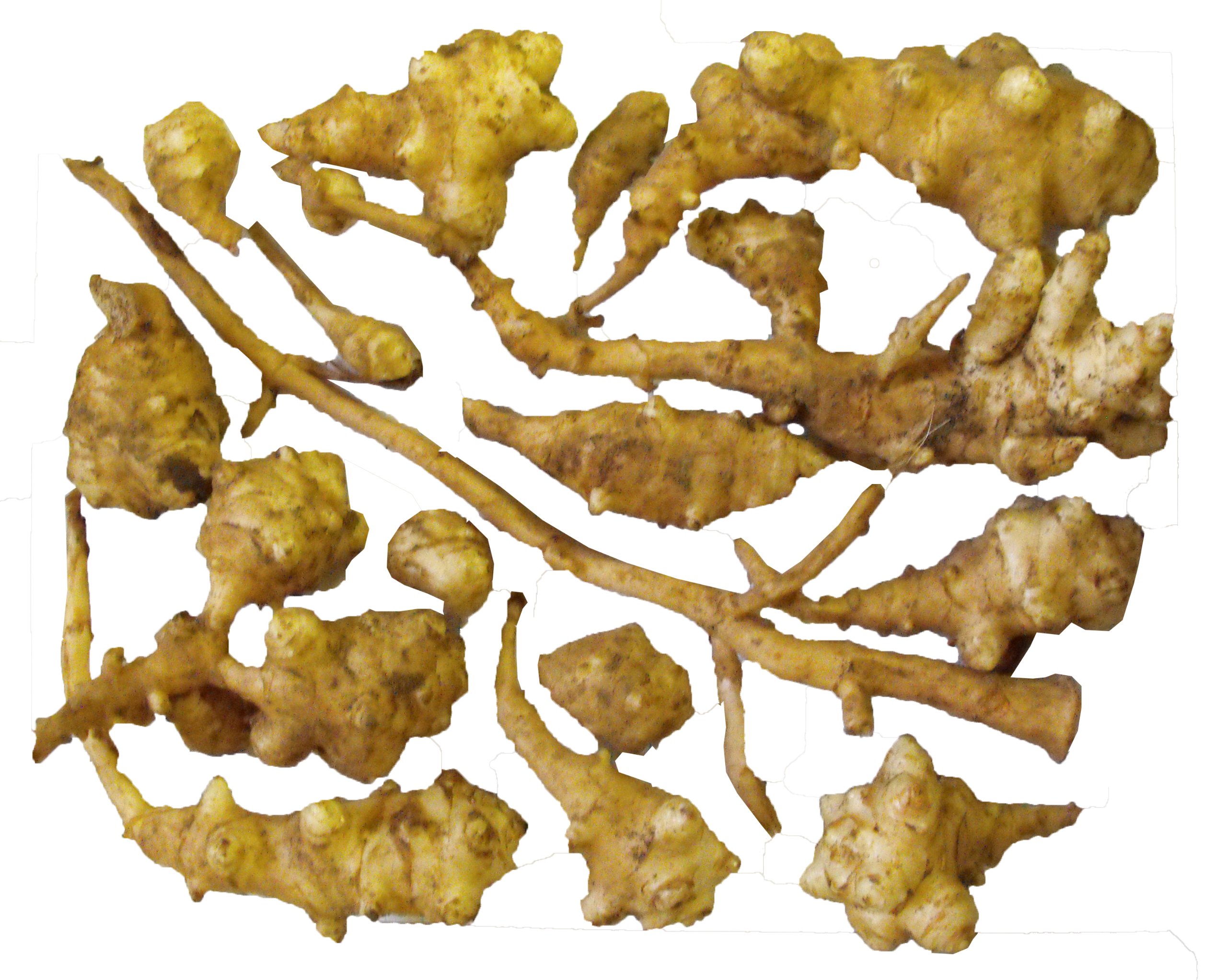 Jerusalem Artichokes Plantssunchoke Tubersplant