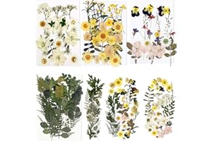 BIHRTC 100PCS Dried Flowers for Resin Real Dry Flower Natural Pressed Died Leaves Sunflowers Chrysanthemum Resin Small Colorful Pressed Flowers Daisies for Candle Jewelry Nail Pendant Making