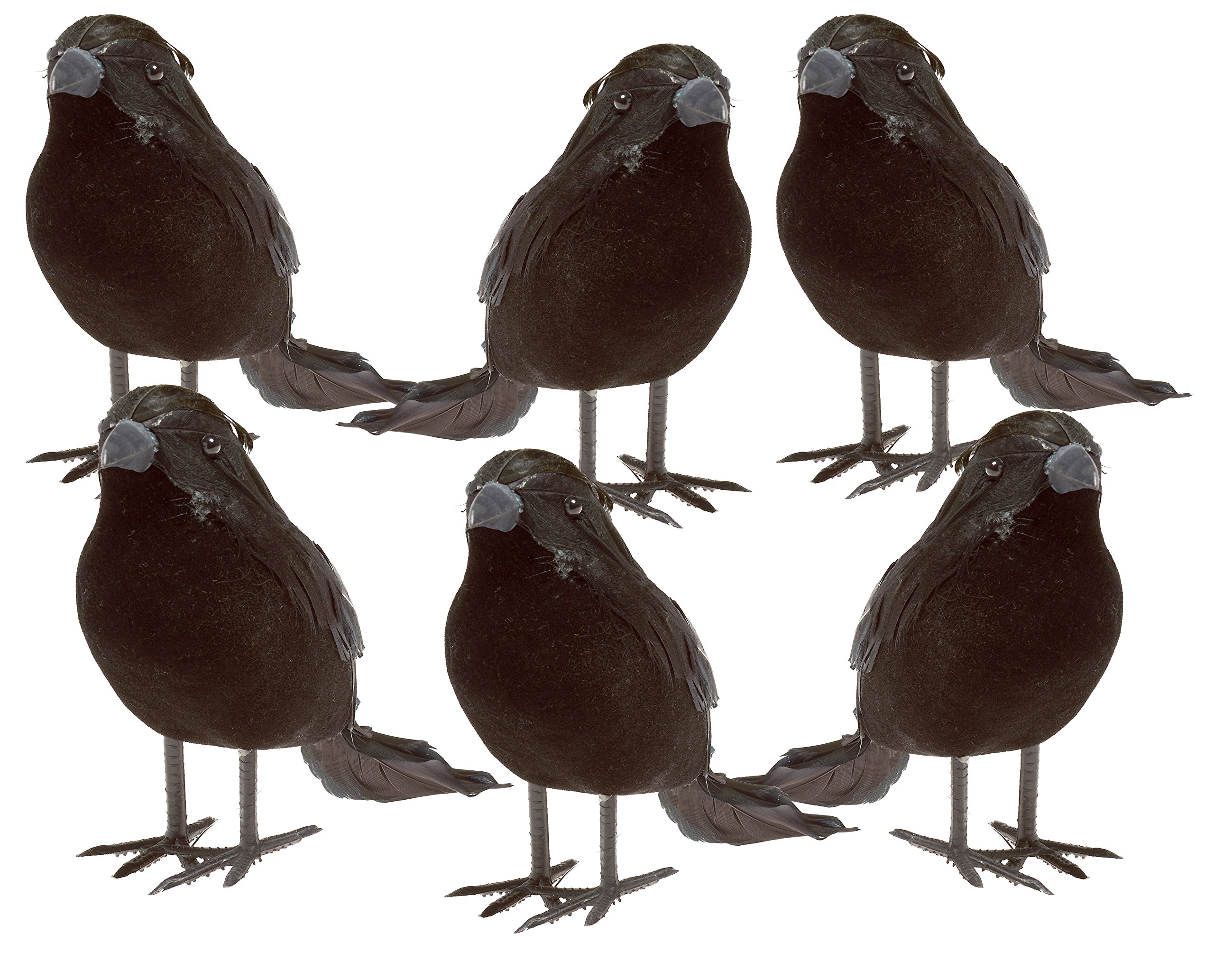Buy PREXTEX6pcs BlackFeathered Small Crows Halloween Decorations