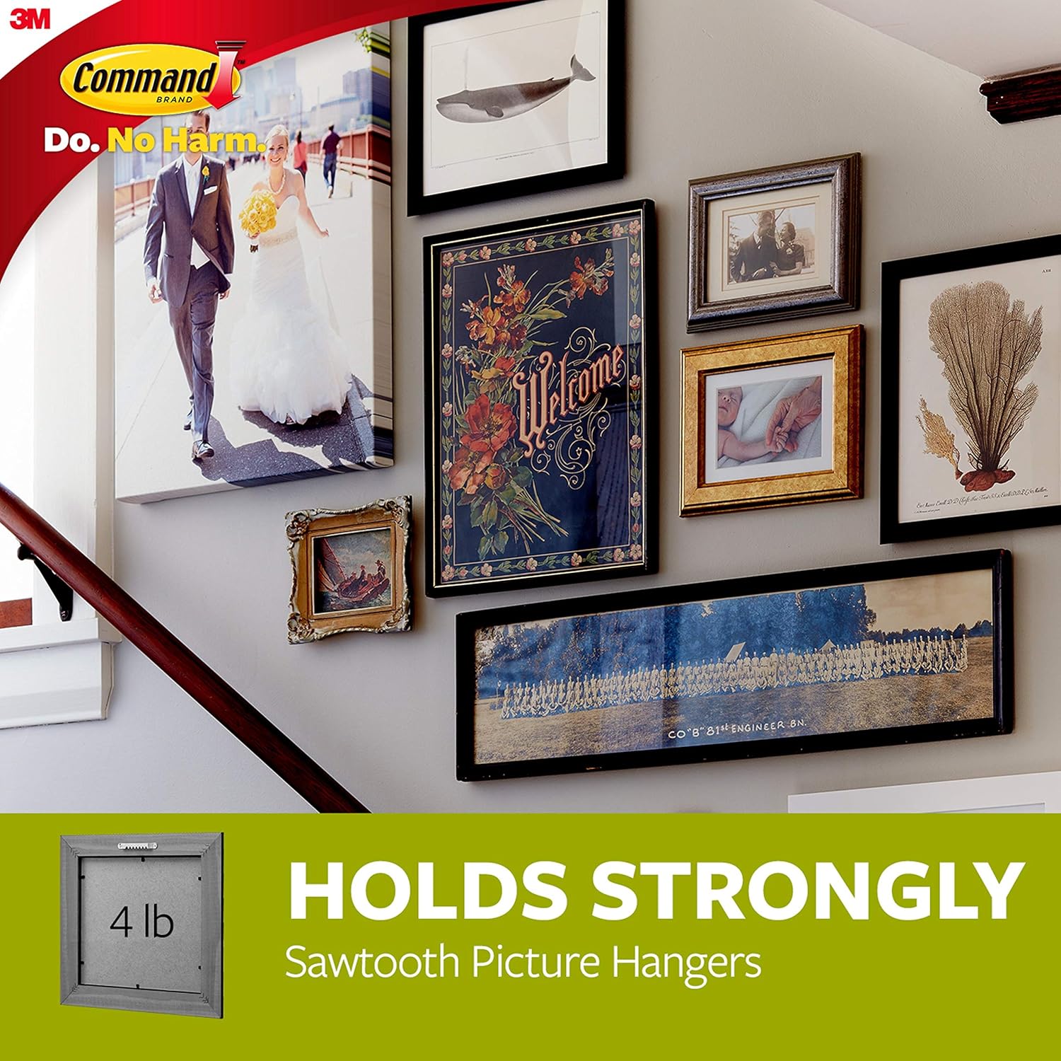 Command Sawtooth Frame Hanger, 4 lb Capacity, Indoor Use, 4 Hangers - - 