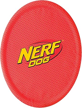 mini frisbee amazon