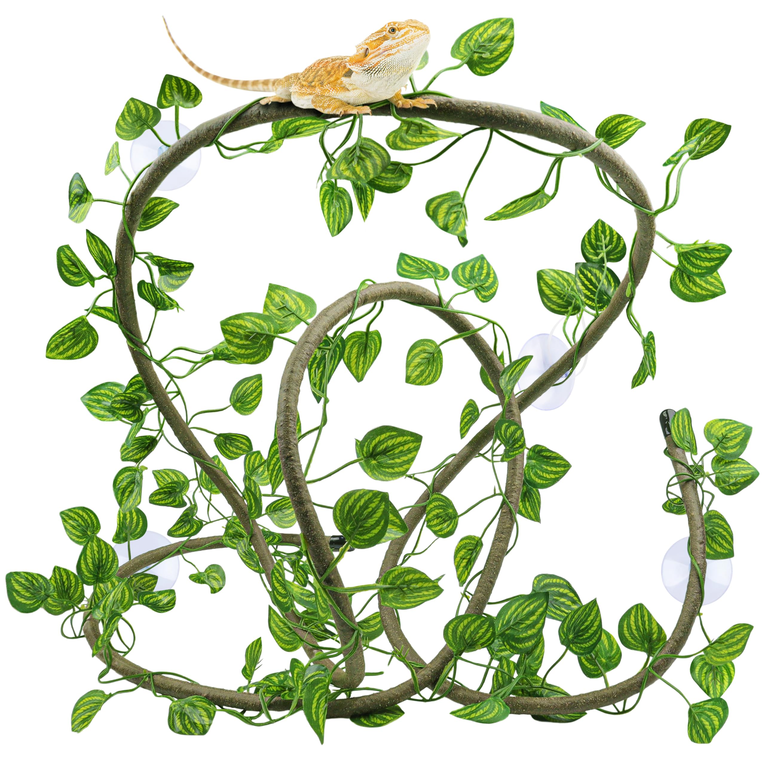 QUOZUO Reptile Tank Accessories Plants Vines and Flexible Artificial Leaves with Suction Cups, Crested Gecko Tank Accessories Long Vines Reptile Hide for Climbing, Chameleon, Lizards