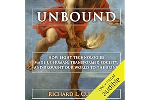 Unbound: How Eight Technologies Made Us Human, Transformed Society, and Brought Our World to the Brink