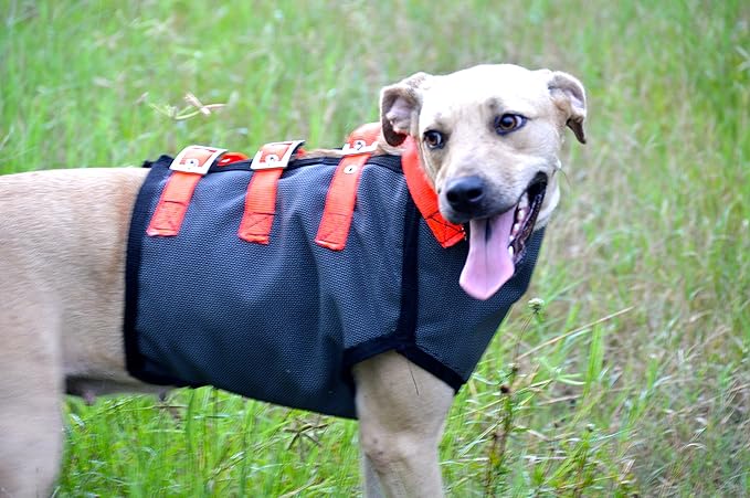 cut vest for catch dogs