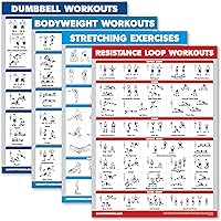Palace Learning 4 Pack - Dumbbell Workouts + Bodyweight Workouts + Stretching Exercises + Resistance Loops - Set of 4 Workout