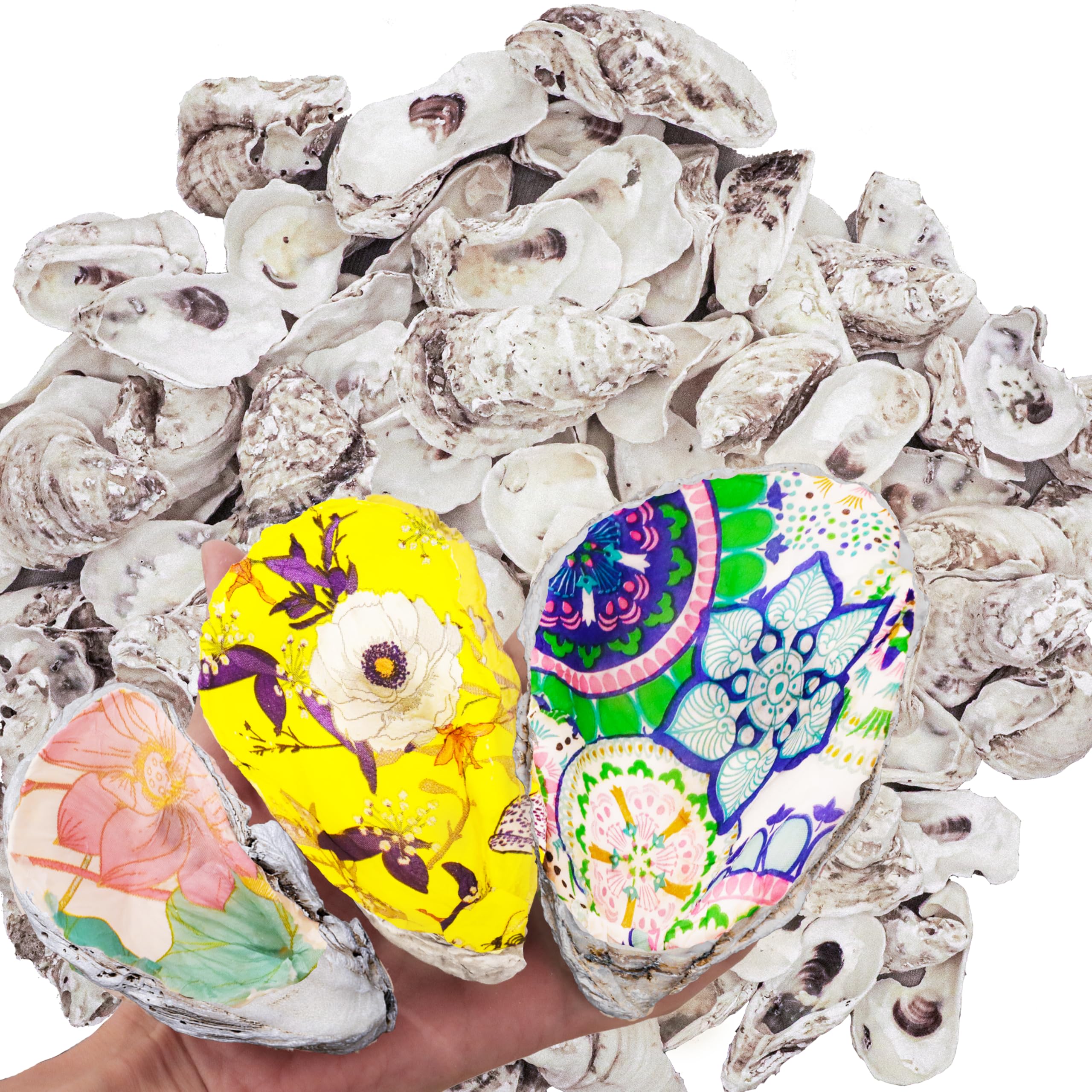 Photo 1 of 16PCS Large Oyster Shells 4”-5” for Crafts, Natural Concave Sea Shells Bulk/DIY Home Decor, Vase Filler, Jewelry Making, Candle Making, Xmas Ornaments, Beach Wedding, Coastal Decor