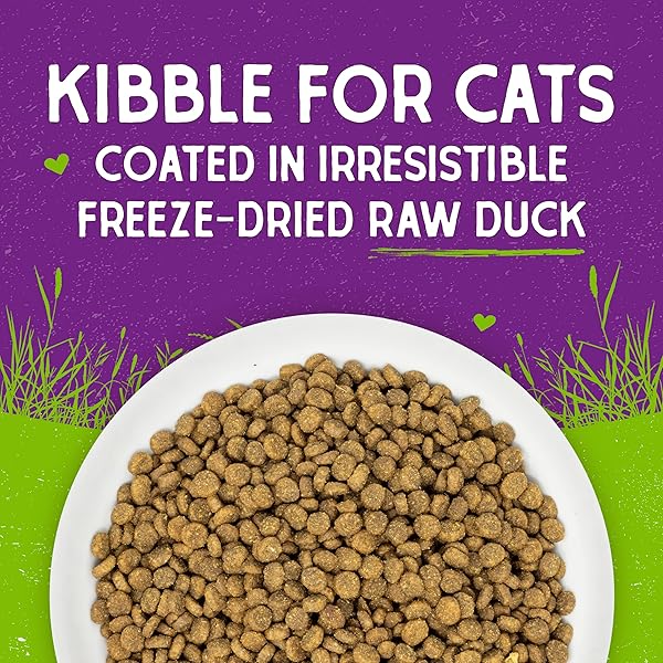 STELLA & CHEWY’S RAW COATED CAT FOOD – HIGH PROTEIN, GRAIN-FREE KIBBLE WITH CAGE-FREE DUCK – PREMIUM DIGESTIVE SUPPORT WITH PROBIOTICS – ALL NATURAL SMALL KIBBLE – PERFECT FOR PICKY EATERS – 5 LB BAG