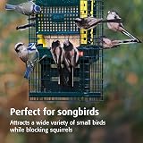 Jacobi Jayne Squirrel Buster Suet Feeder Two Suet Blocks Bird Feeder view 5