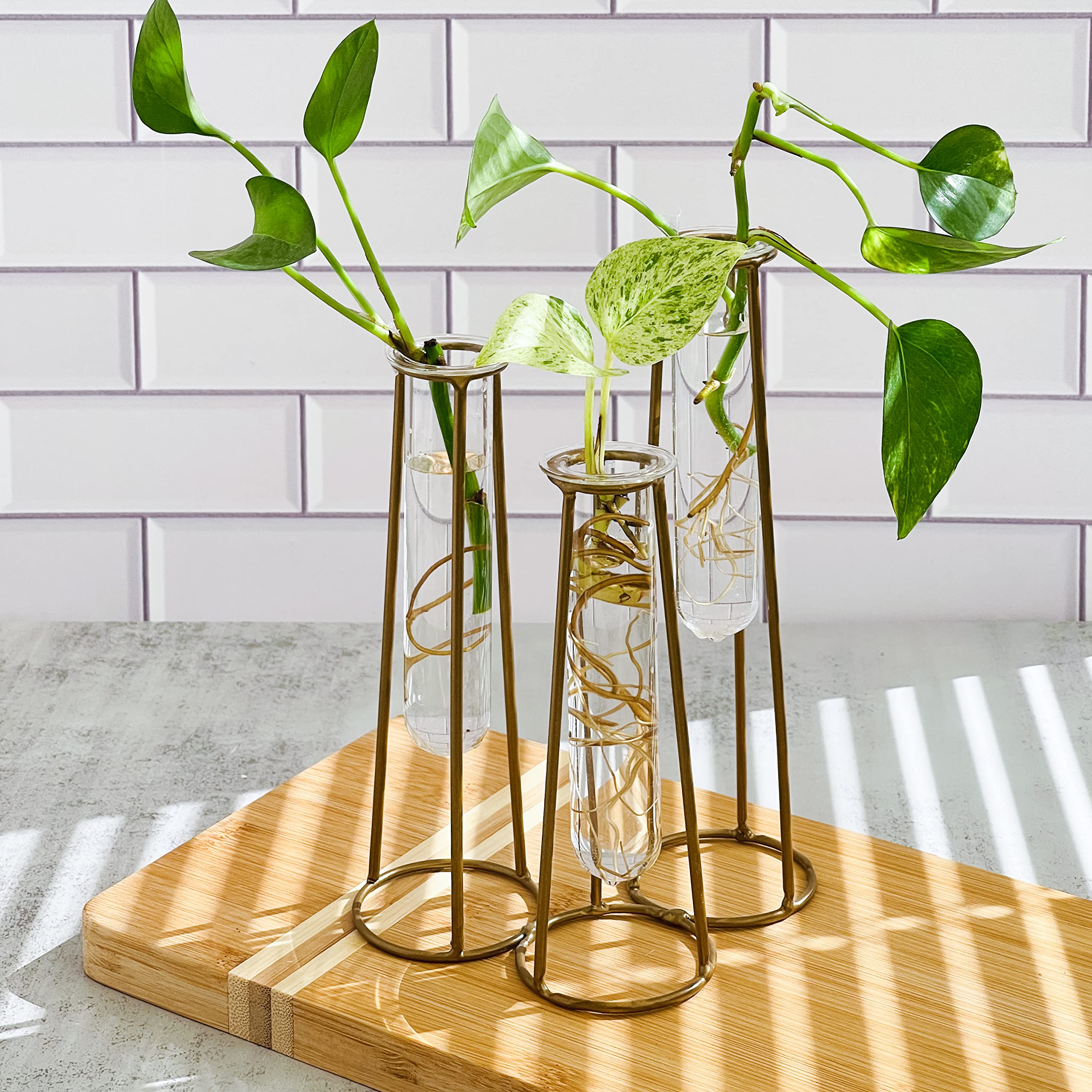 Photo 1 of Propagation Station Terrariums with Gold Metal Stand - Kate Aspen 3 Glass Test Tube Planters for Indoor Plant, Air Plants, Plant Clippings, Cut Flowers, Herbs, Succulents | Home Decor Table Decoration