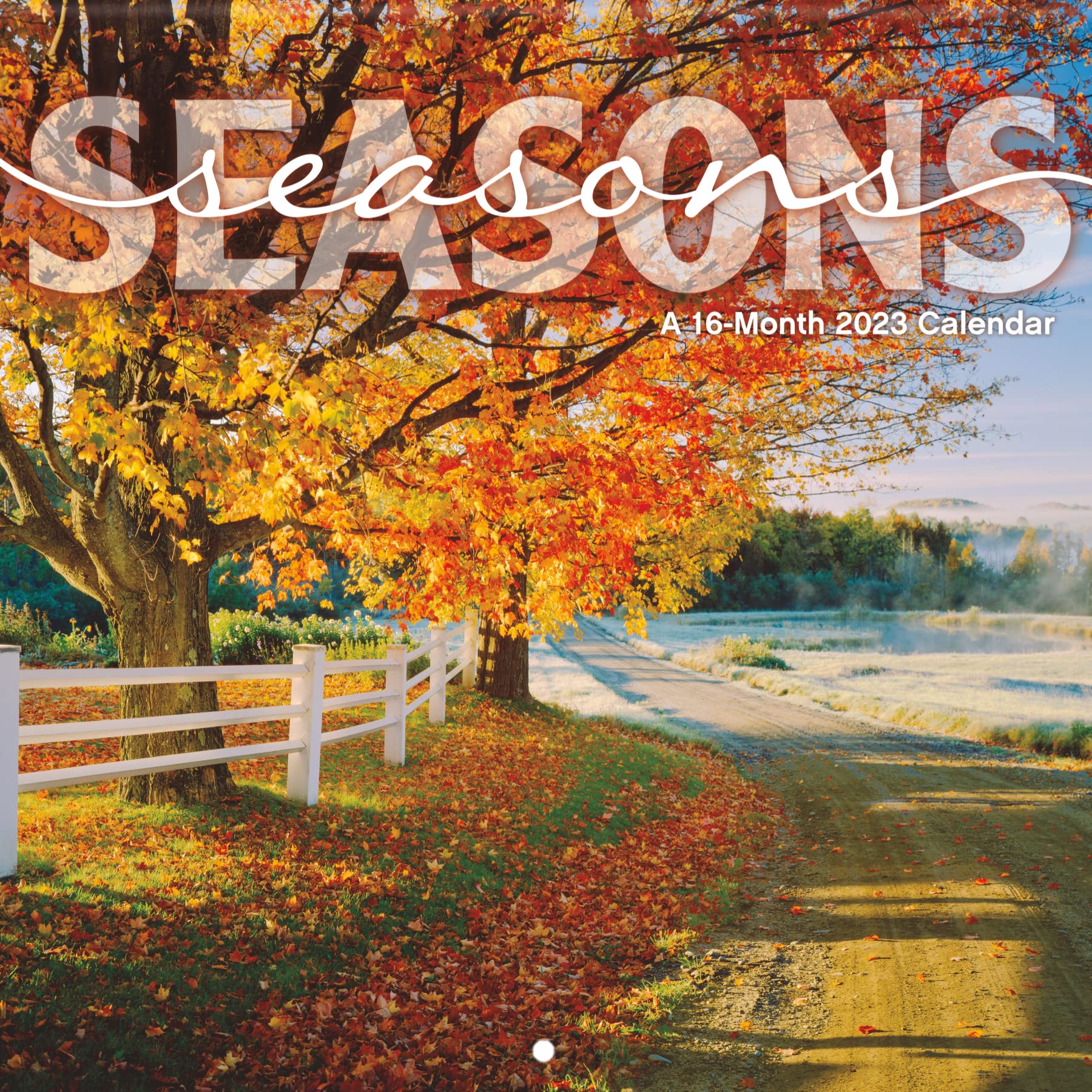 2023 Calendar Seasons 2023 Seasons Wall Calendar Trends International 9781438887074 Amazon Com Books
