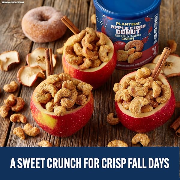 PLANTERS APPLE CIDER DONUT CASHEWS 13OZ