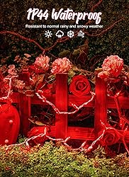 Valentine's Day String Lights with 100 Clear Bulbs