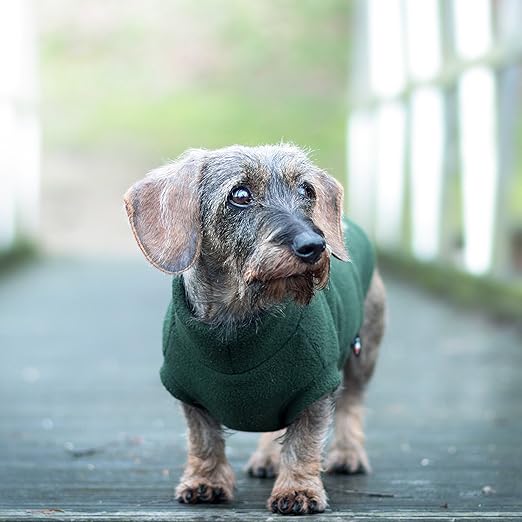 equafleece dachshund