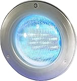 Amazon.com : Pentair 78106000 60-watt Pool Bulb with 30