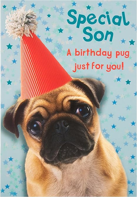 Fils Carlin Hallmark Carte D Anniversaire Avec Chapeau De Fete Humour Funny Carte Neuf Medium Amazon Ca Maison Et Cuisine