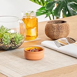 Restaurantware-Terra Tek 2.7 Ounce Terracotta